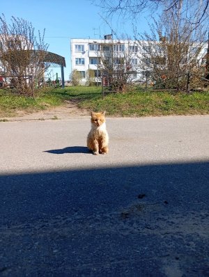 заходите все ко мне