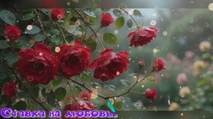 Ставка на любовь.