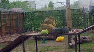 WZOC9885-11.05.2026 Видео от Ивана