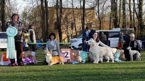 03.05.2026, СПб. Клуб «Глэд» (РКФ, РФСС). Выставка собак всех пород «ОГНИ ПЕТЕРБЕРГА» (САС, ЧРКФ)