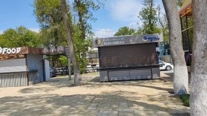 Гуляем с собаками/Завтрак/Прогулка в Дивноморском