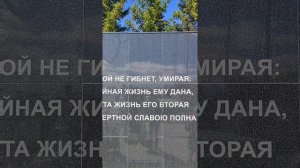 9 мая Яр Чаллы