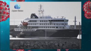 Вирусолог оценила возможность введения в РФ карантина из-за хантавируса