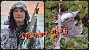 Промо 2026