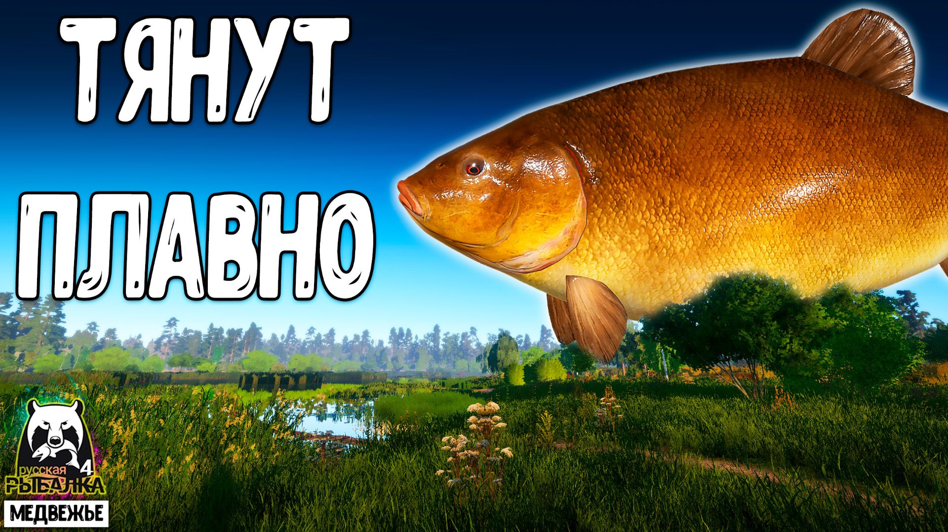 Rf4 подходят и тянут очень плавно #рр4