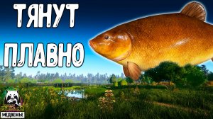 Rf4 подходят и тянут очень плавно #рр4