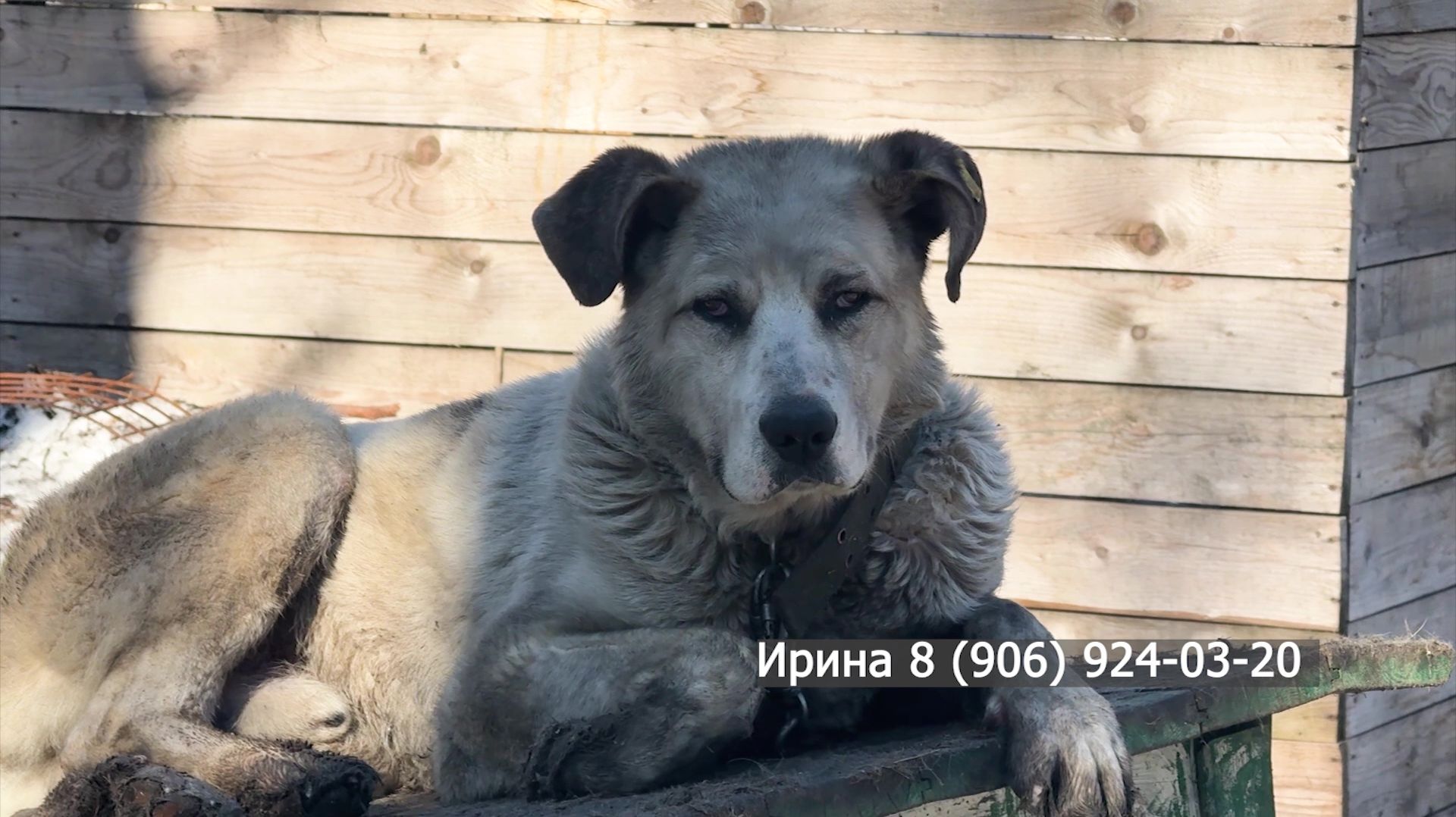 Хочу домой: Тайфун