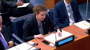 Statement by Evstigneeva at UNSC “Arria formula” Meeting on Situation in the West Bank, May 8, 2026