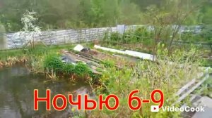 Дачный отдых