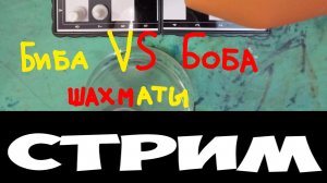 Биба vs Боба шахматы