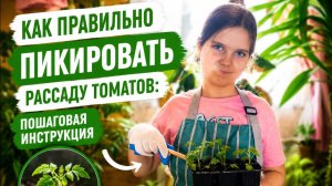 Маленький агроном: дочка впервые помогает с пикировкой томатов!🌱  Что из этого вышло?