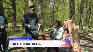 Сотрудники МЧС провели рейд по местам пикников в Нижнем Новгороде