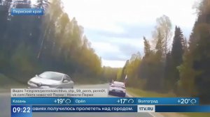 Родился в рубашке: водитель успел затормозить перед падающим деревом в Пермском крае.