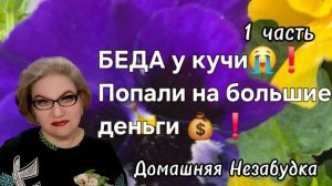 1 часть. БЕДА у кучи😭❗️Попали на БОЛЬШИЕ ДЕНЬГИ 💰 ❗️