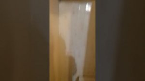 знакомство с жильём.
