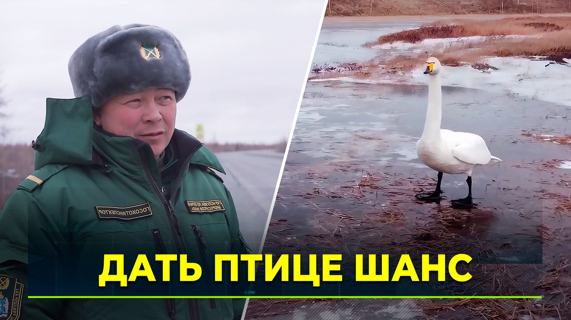 Охотоведы вышли в рейд