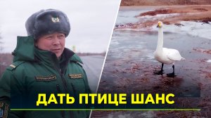 Охотоведы вышли в рейд