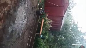 гроза И сильный град!⛈️