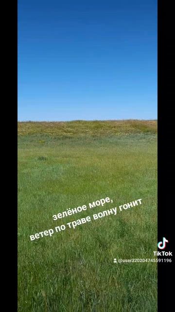 1000026357.mp4
