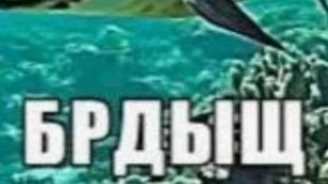 Новости моего канала