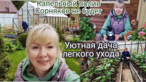 Сад малого ухода:Капельный полив - что важно знать. Сорняков не будет Декор сада