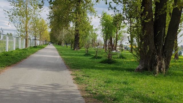 3437.mp4 смотреть онлайн