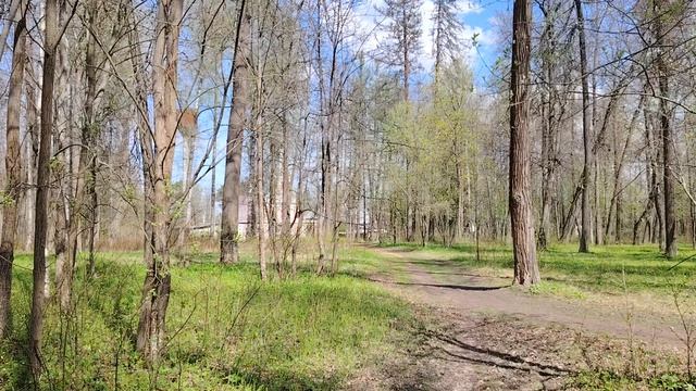 Муромцевский парк (2 часть). Немного о финансовой грамотности