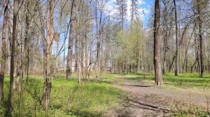 Муромцевский парк (2 часть). Немного о финансовой грамотности