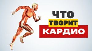 Кардиотренировка. Как делать кардио упражнения дома без тренажёров, в зале и на улице
