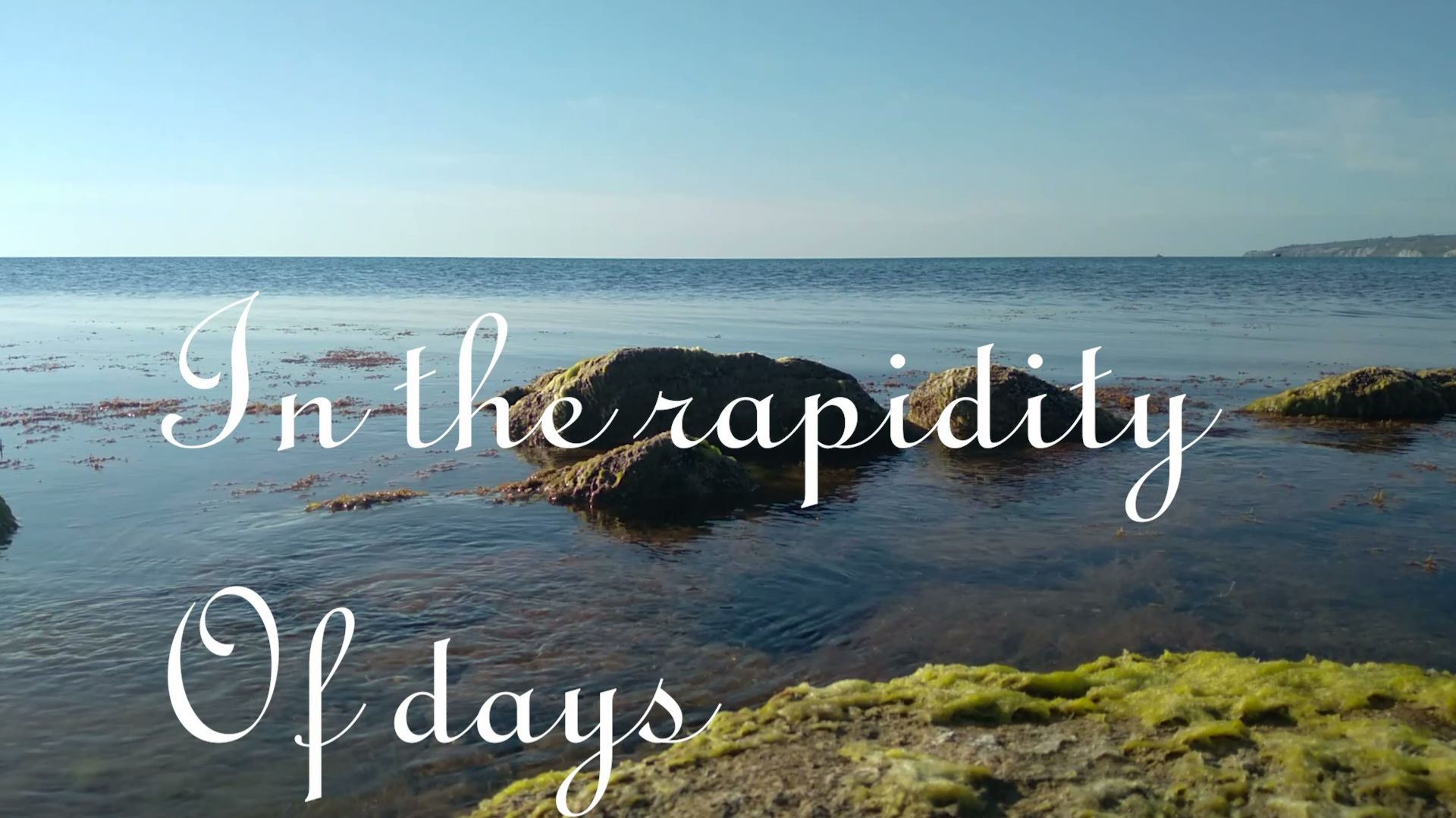 In the rapidity ...