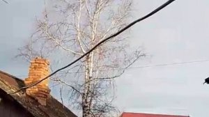 Замерзли.