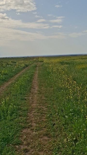 Поля и луга в Бахчисарайском районе Крыма смотреть онлайн