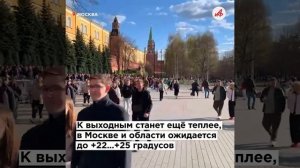 Тепло возвращается. С 13 мая москвичей порадует почти летняя погода