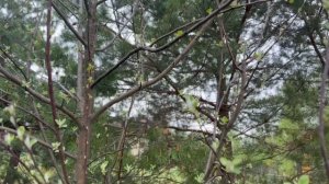 Морось с утра, а перед отъездом солнце. Покрасочные работы закончены.