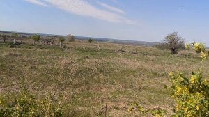 Почвофреза на МТЗ-80. Культивирую огороды.
