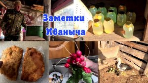 Что сделать из берёзового сока. Деревенская жизнь.