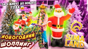 ШОППИНГ За 5 МИНУТ До НОВОГО ГОДА 😱 СКУПАЕМ Все ГИРЛЯНДЫ ✨ Декор И ЕДу На НОВОГОДНИЙ СТОЛ 🎂🧆
