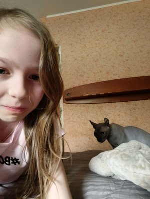 вопрос-ответ