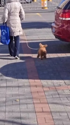 Всем хорошего дня
