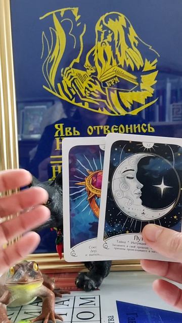 Совет дня🐸 12 мая#новинка#семья#работа#дом#здоровье# смотреть онлайн