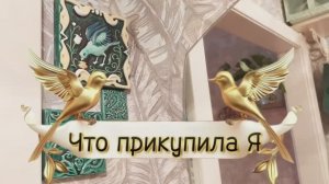24.04.26💚Из Ярославля с душой💚