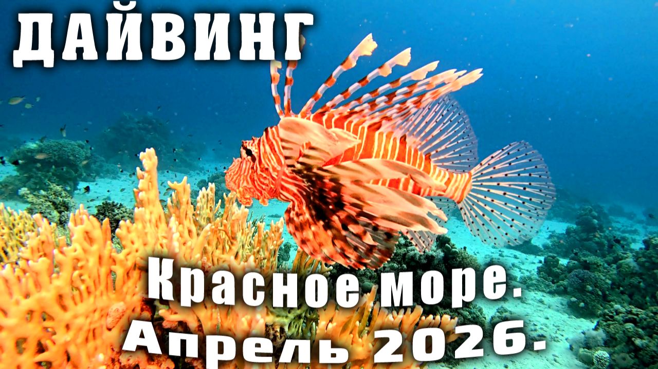 Дайвинг.