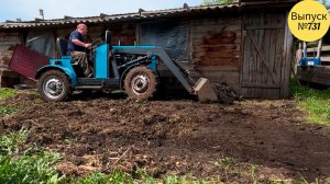 Готовимся выводить маленьких телят на улицу. Радостные будни в Омской деревне.