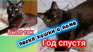 Песня про кошек.