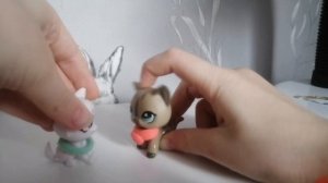 Ips:Опенинг к сериалу лпс популяр 🐱