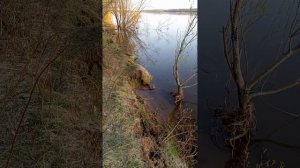 Аркуль, подтопление, 7 мая, окраина , п. Хитрый