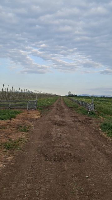 Обзор фермы в Крыму смотреть онлайн