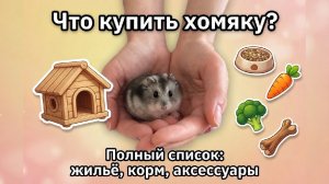 ЧТО НУЖНО ДЛЯ ХОМЯКА 🐹 ПОЛНЫЙ СПИСОК