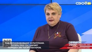 За последние годы в Ставропольском крае увеличилась площадь под зернобобовыми культурами