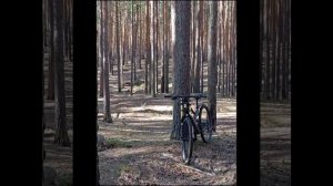 единственный Эдит который полчилс Ито плохо. Эдиторы в коменты